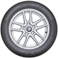 A005 - 2