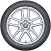 T005 - 2