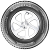 COMPETUS WINTER 2 + - 2